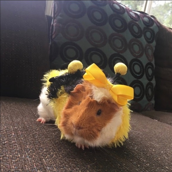 Share for share...⬇️⬇️⬇️⬇️. PLEASE read below. - Picture 15 of 16